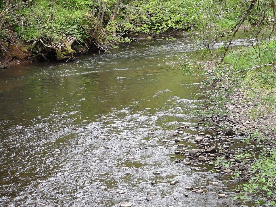 North Yamhill River