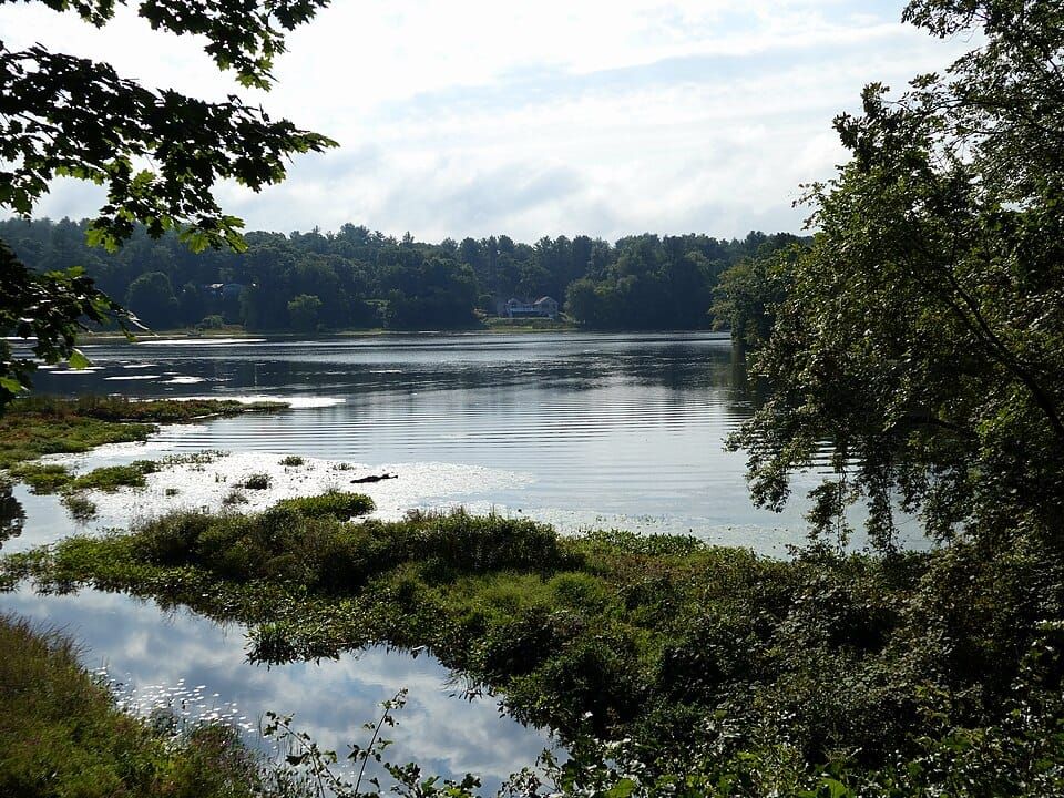 Clayville Pond