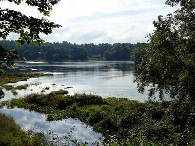 Clayville Pond