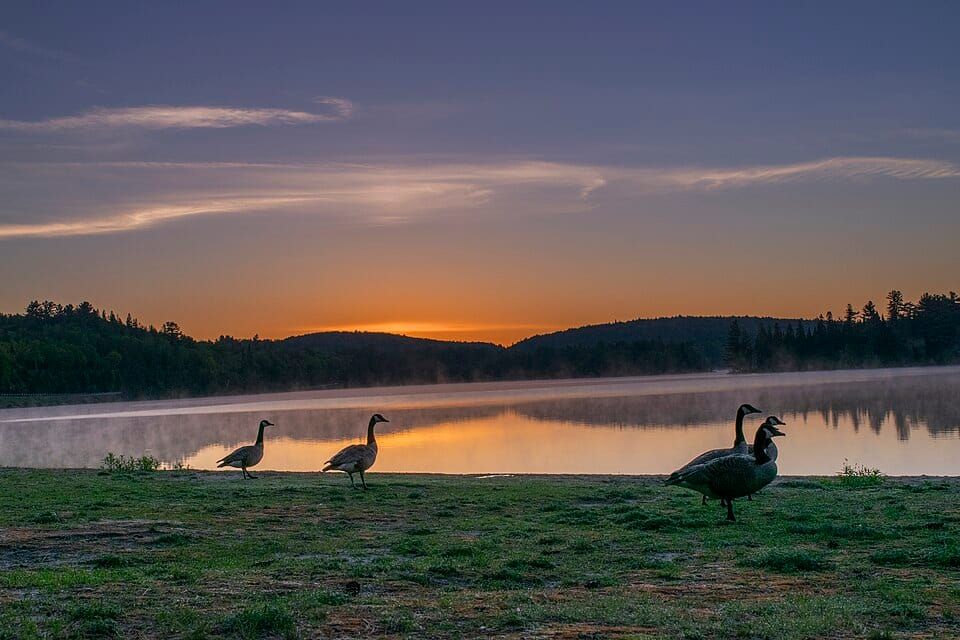 Two Rivers Lake