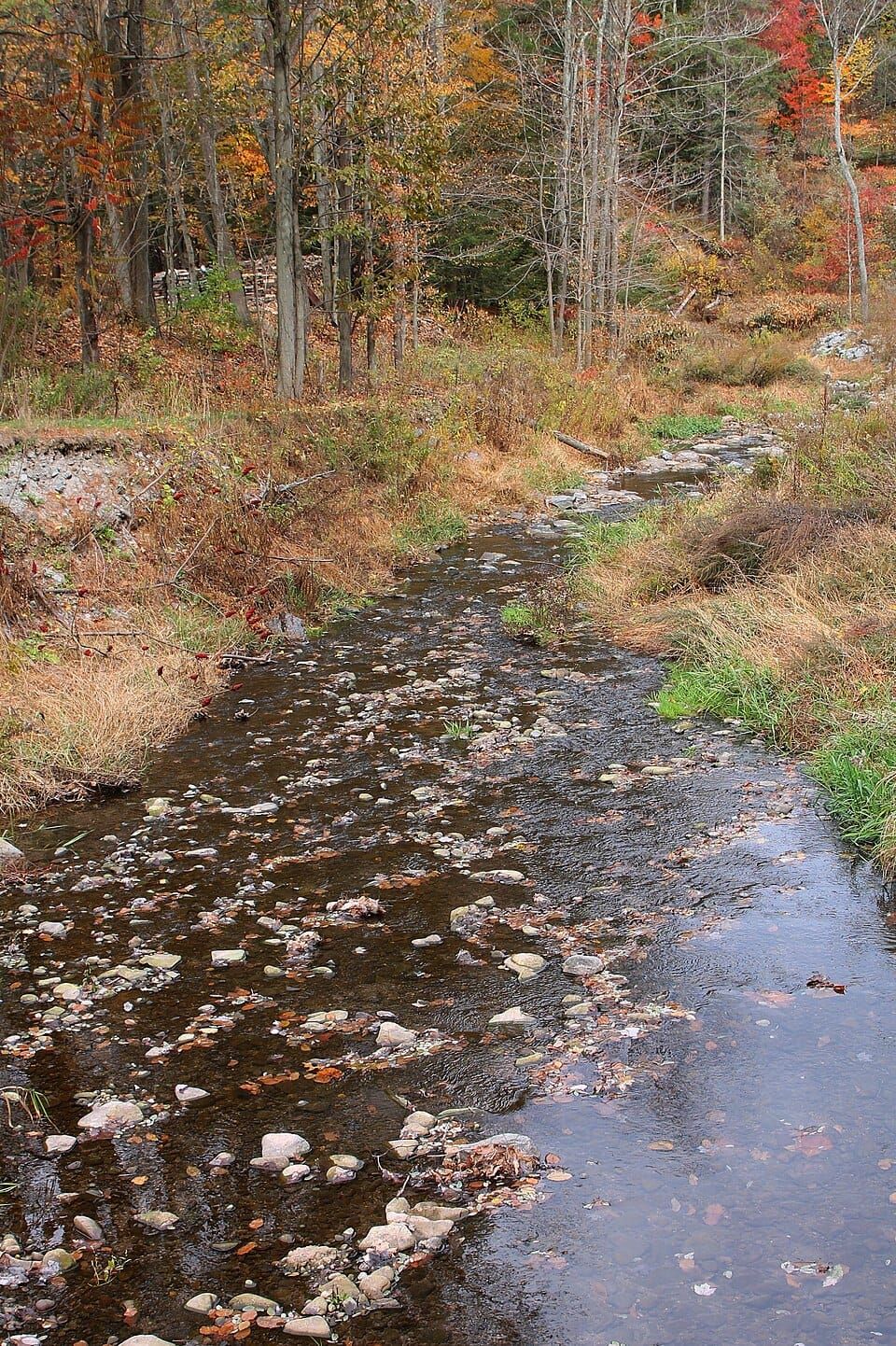 Sugar Hollow Creek
