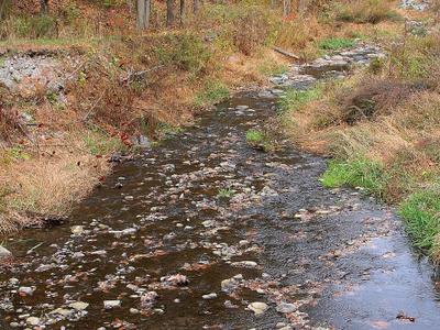 Sugar Hollow Creek