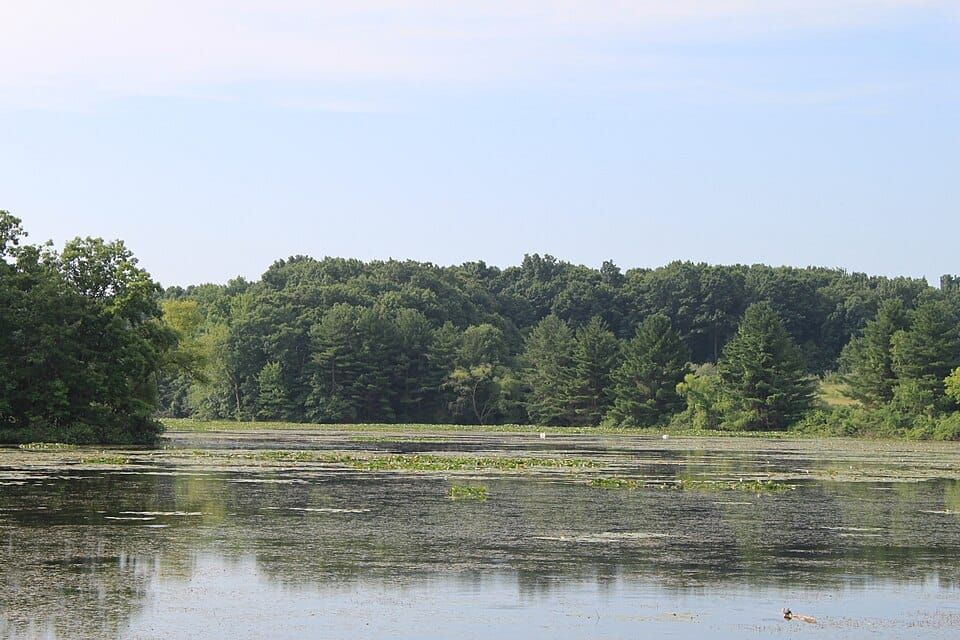 Spring Mill Pond