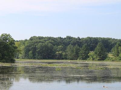 Spring Mill Pond