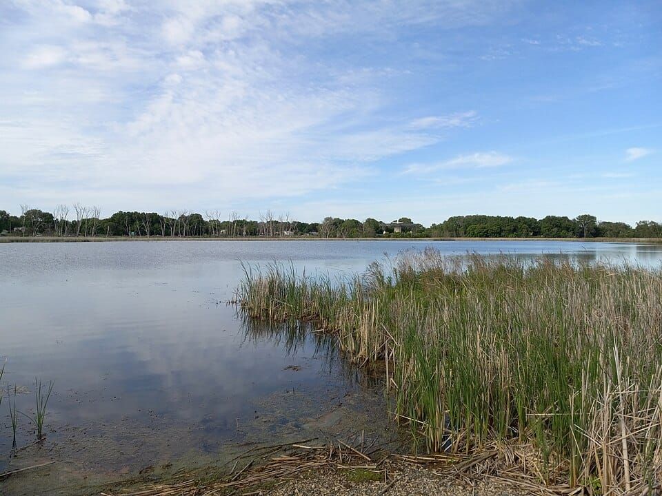 Mother Lake