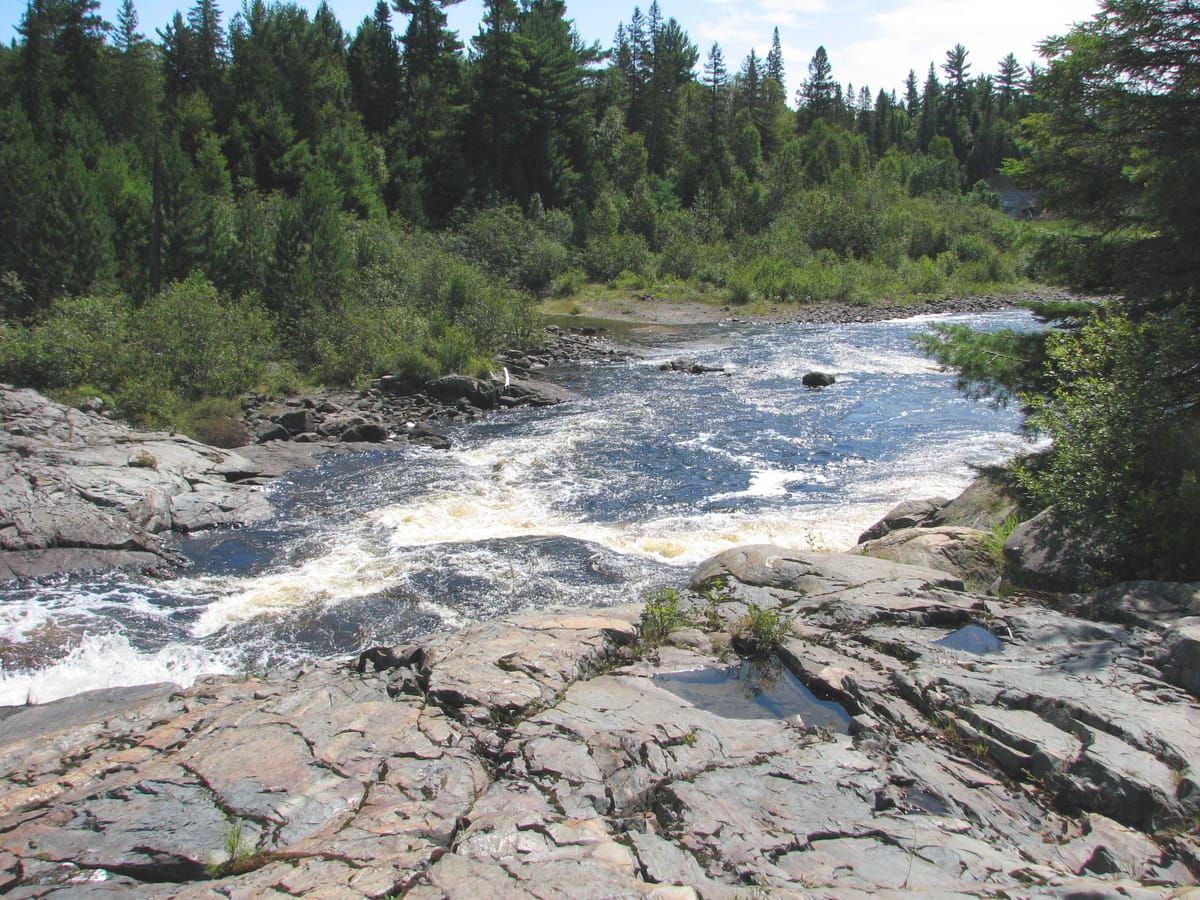 Sturgeon River