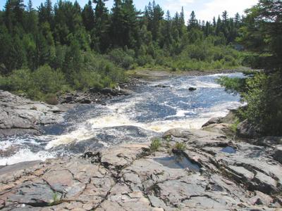 Sturgeon River