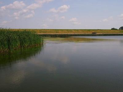 Lake Renwick