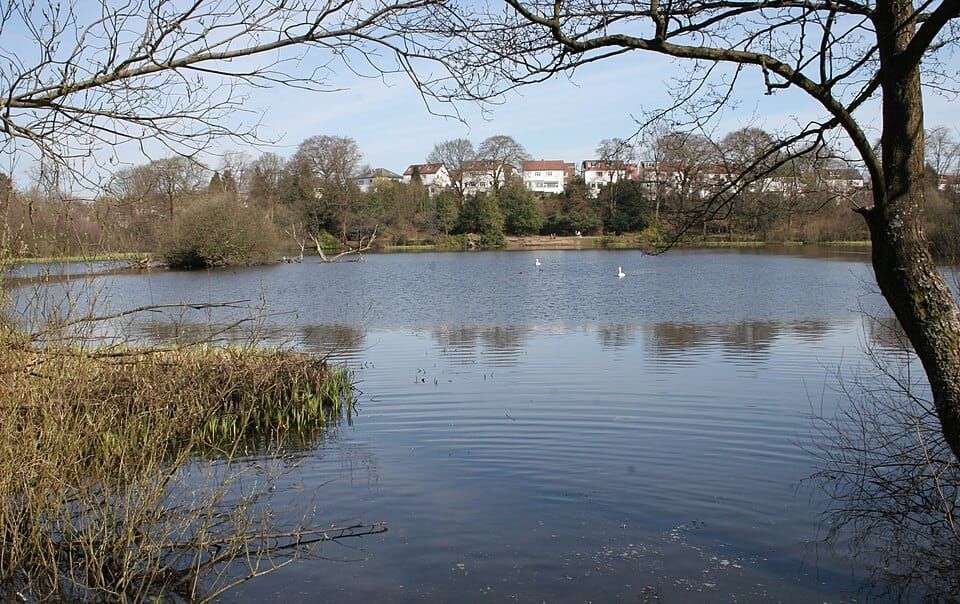 Kilmardinny Loch