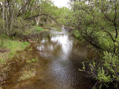 Atascadero Lake Park