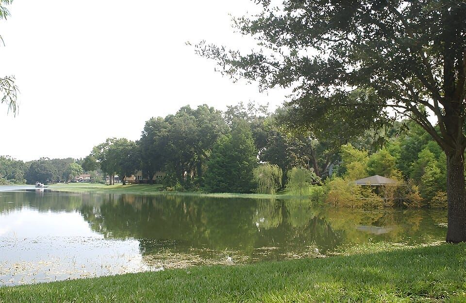 Sunshine Park Lake