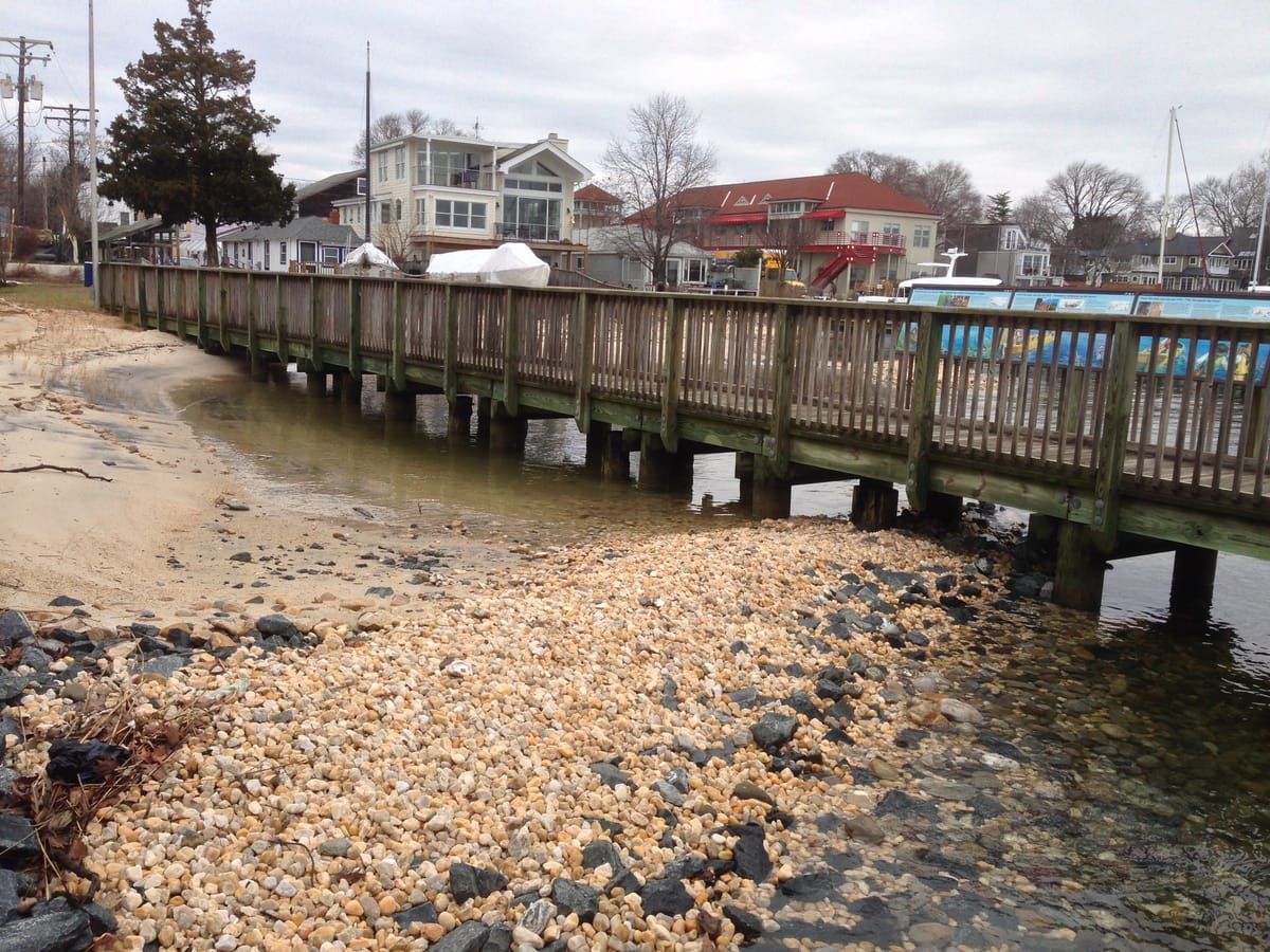 Annapolis Harbor