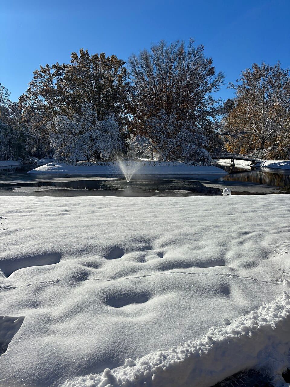 Pinhook Lake