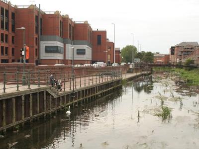 River Freshney