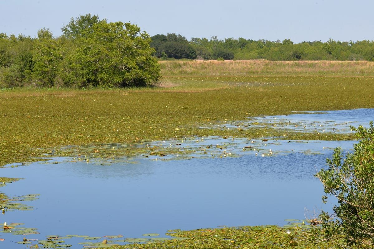Prairie Lake
