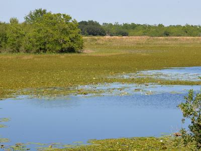 Prairie Lake