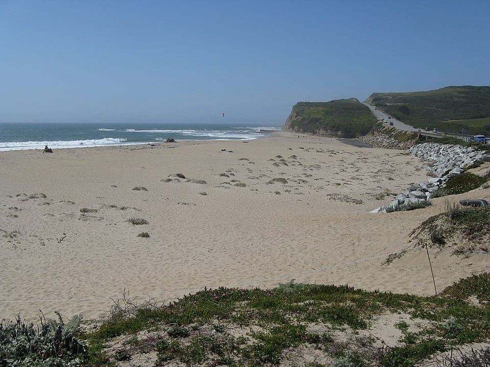 Scott Creek Beach