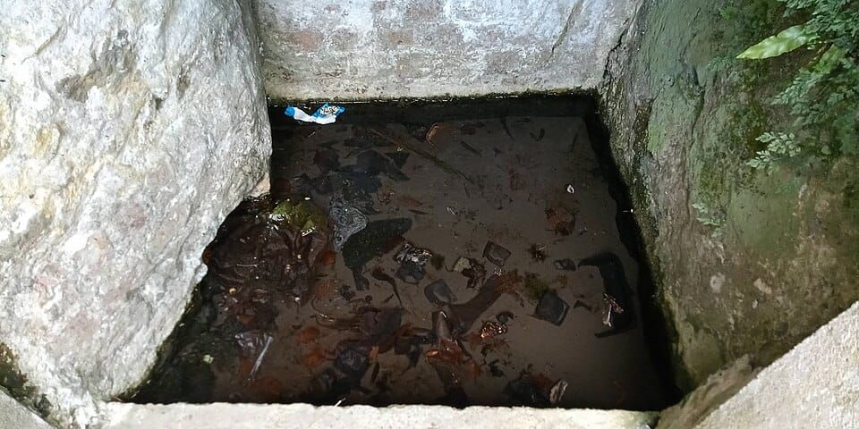 Paddy's Well