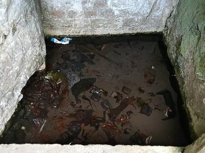 Paddy's Well