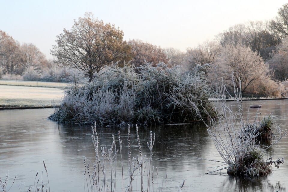 Oakwood Lake