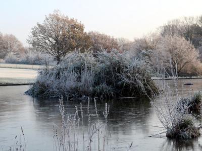 Oakwood Lake
