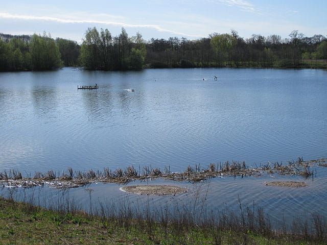 Bodenham Lake