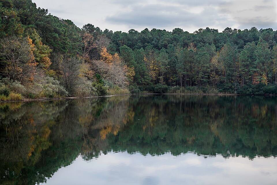 Lilly Creek