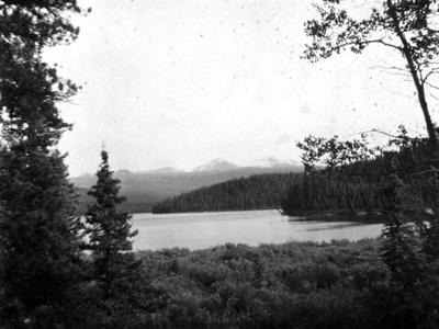Buckley Lake Park