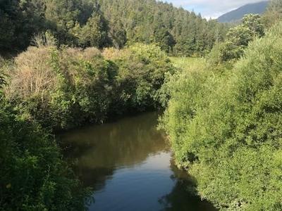 Stillwater Creek